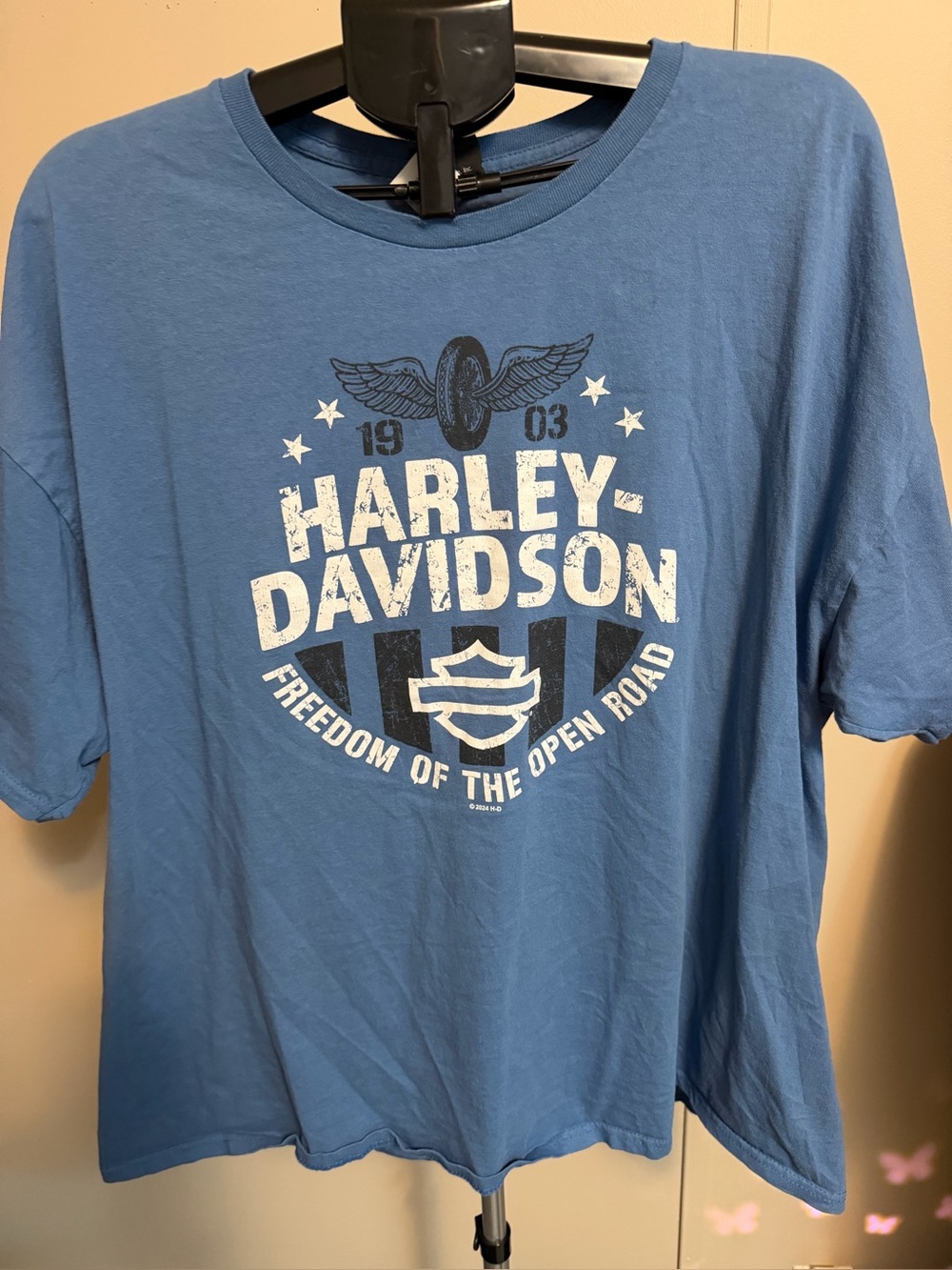 Harley-Davidson Chimney Rock NC Graphic T-Shirt Blue 3XL